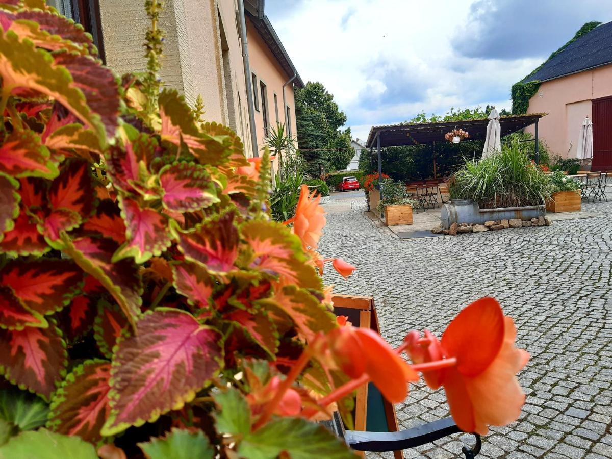Hotel "Pension Marlis" Garni Reichenberg  エクステリア 写真