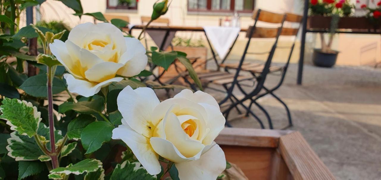 Hotel "Pension Marlis" Garni Reichenberg  エクステリア 写真