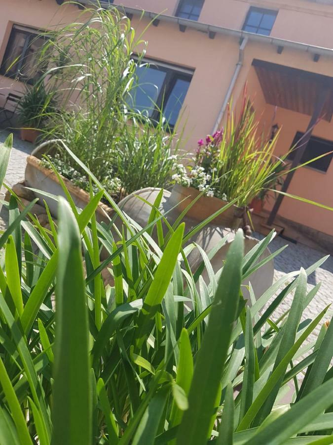 Hotel "Pension Marlis" Garni Reichenberg  エクステリア 写真